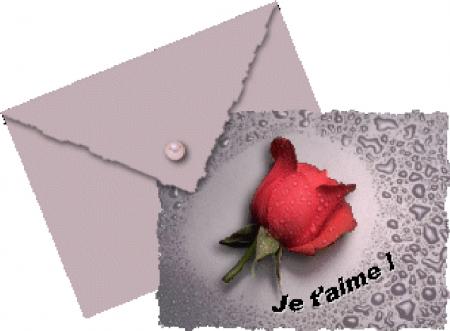 Une fleur qui respire la vie...